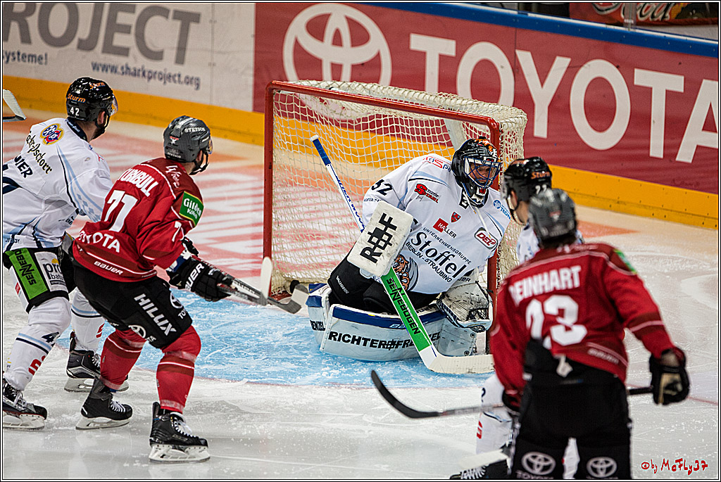 Koelner Haie - Straubing Tigers, 03.10.2016